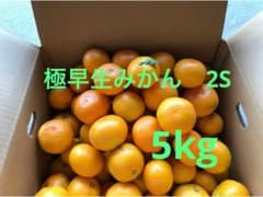 和歌山県産 極早生みかん 5kg 2Sサイズのサムネイル