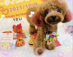 確認用ですのサムネイル