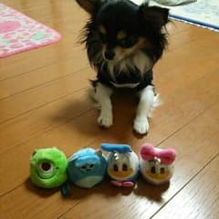 りぃ様専用☆のサムネイル