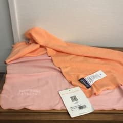 Patagoniaのサムネイル