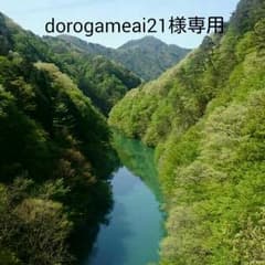 dorogameai21様専用のサムネイル