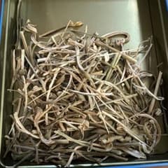 乾燥パパイヤ茎の切れ端　50gのサムネイル