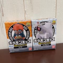 ポケモンキッズ　キバナ　ジュラルドンのサムネイル
