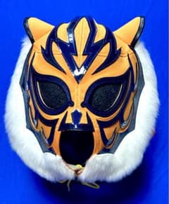 m15744221984_1.jpg?1724833497