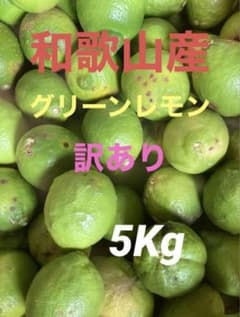 和歌山産 グリーンレモン 訳あり 5Kgのサムネイル