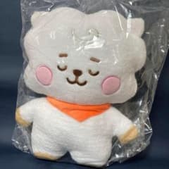 BT21 RJ 탄톤 네톤 봉제인형 L