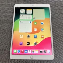 4354 電池良好☆iPad Pro 256GB 10.5インチ SIMフリー☆ - メルカリ