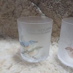 FUJIKOON BIRD WATCHING グラス 2個セットのサムネイル