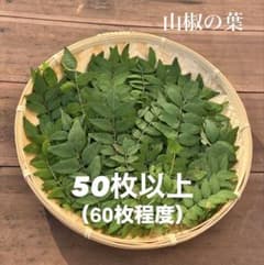 山椒の葉　50枚以上　無農薬のサムネイル