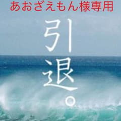 あおざえもん様専用のサムネイル