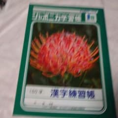漢字練習帳150字のサムネイル