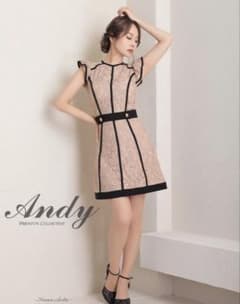 Andy アンディレースミニドレスS - メルカリ