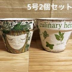 470、5号2個セット 女の子とハーブと森と多肉 リメイク鉢 植木鉢 素焼