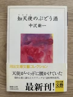【初版】 中沢新一 知天使のぶどう酒のサムネイル