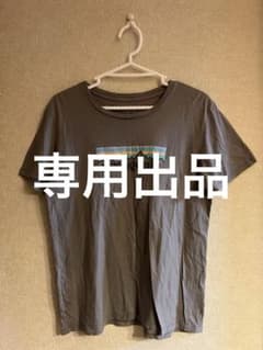 【宏様専用】パタゴニア　patagonia Tシャツ　グレーのサムネイル