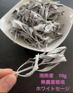 湘南産 無農薬 ホワイトセージ 10gのサムネイル