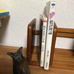 専用　現代思想の冒険　批評理論のサムネイル