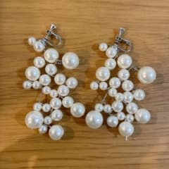 【超美品】Anemone イヤリングのサムネイル