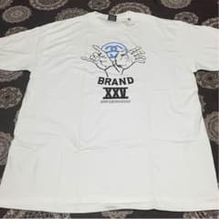 Ｙちゃんさん専用   新品未使用stussy Ｔシャツのサムネイル
