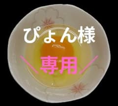 ネラ　烏骨鶏　ゆめちゃん食品 烏骨鶏 ネラ ゆめちゃん食品 - メルカリ