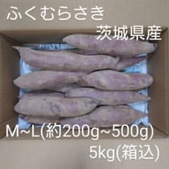 ふくむらさき 5kg(箱込) M~L(約200g～500g) 茨城県産 - メルカリ