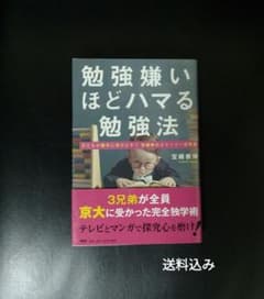 勉強嫌いほどハマる勉強法のサムネイル