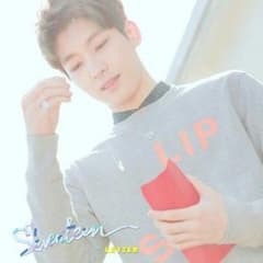 ☆SEVENTEEN ポスター ウォヌのサムネイル
