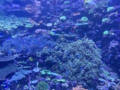 うどんさま専用ページのサムネイル