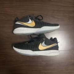 NIKE LeBron20 ブラック×ゴールド 28cmのサムネイル