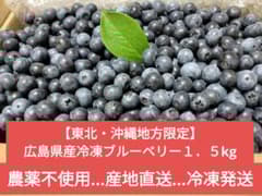 冷凍ブルーベリー1．5kg♡広島県産…産地直送…農薬不使用…冷凍発送