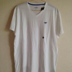 【ACK様専用】HOLLISTER. Tシャツ  Lサイズのサムネイル
