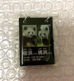 【楓浜】ミニ巾着　電光看板風チャーム　アドベンチャーワールド　先行販売 桜浜♡桃浜】アドベンチャーワールド 電光看板風チャーム 先行販売