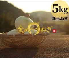 【農家直送】淡路島産 玉ねぎ 5kg おすすめのサムネイル