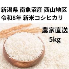 令和8年新米 南魚沼産 西山地区 コシヒカリ 5kg 農家直送 精米済み