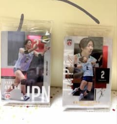 バレーボール 女子日本代表 荒木彩花選手ツインウエハースカード2026のサムネイル