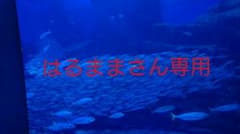 ムーモ 除毛クリームのサムネイル