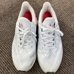 NIKE WMNS AIR ZOOM WINFLO 6 25cmのサムネイル