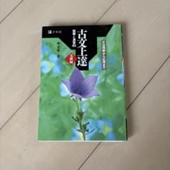 古文上達45 参考書 仲井雅道著 Z-KAIのサムネイル