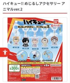 ハイキュー!! めじるしアクセサリー アニマルver.2のサムネイル