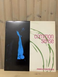 common sense resurrection レコードのサムネイル