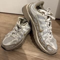 NIKE P6000 ハングル　25.0cm