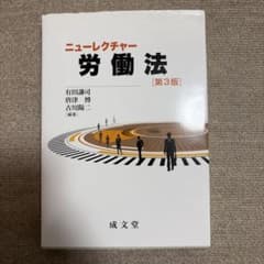 ニューリクチャー 労働法 第3版のサムネイル