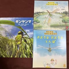 希少❗ギンヤンマ&ちいさなかがくのとも ギンヤンマそらへ&おおきな