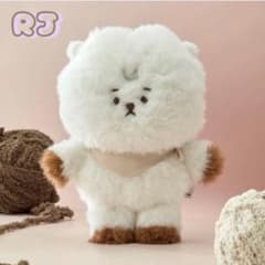 BT21 유모차 인형 MADE BY RJ (RJ)