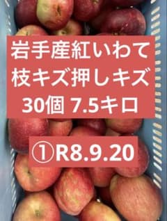 岩手産紅いわて　家庭用7キロ 枝キズ押しキズ　R8.9.20のサムネイル