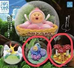 こびとづかん カプリウムコレクション 2種セット アメボウシ　ベキニノコビトのサムネイル