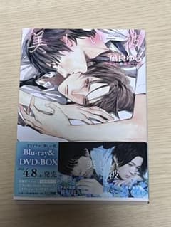 美しい彼 小説のサムネイル