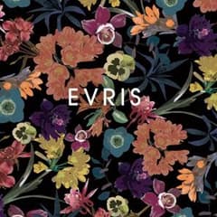 Chefa様お取り置き EVRISバッグのサムネイル