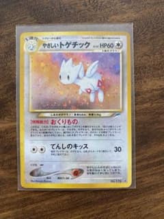 やさしいトゲチック　値下げしました。のサムネイル