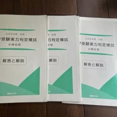 2024年 小学校6年 中学受験実力判定模試のサムネイル
